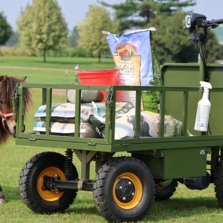 Loom Electric Utility Cart